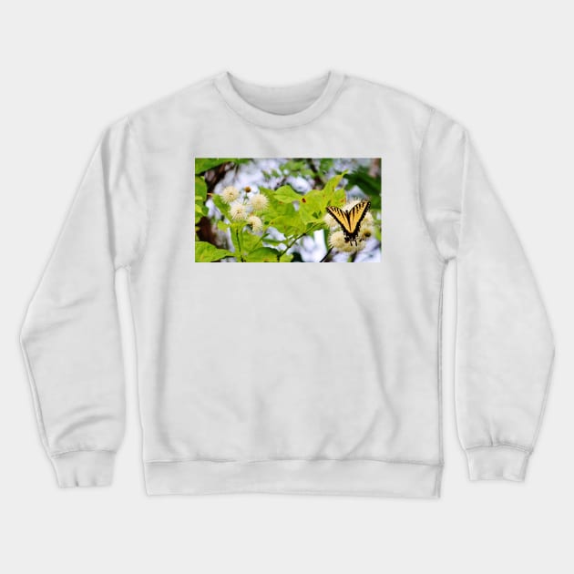 Butterfly On Buttonbush Crewneck Sweatshirt by Cynthia48